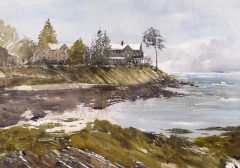 Lone Tree, Pond Cove
