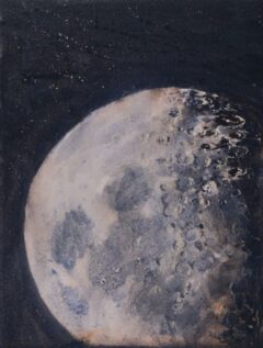Past First Quarter Moon <span style="color: #ff4040;">●</span></a>